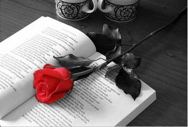 1 Libro y 1 Rosa - Día Mundial del Libro
