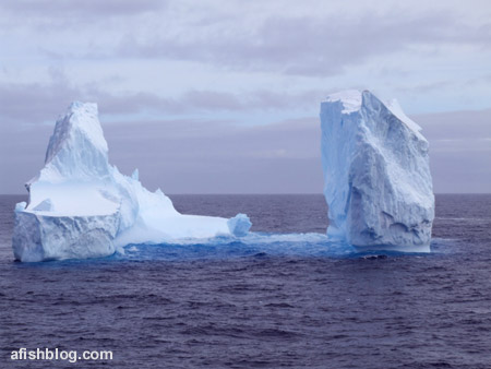 Un gigantesco iceberg antártico!!
