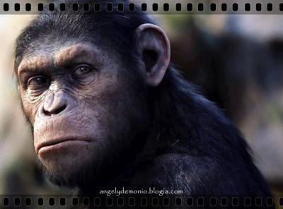 El amanecer del planeta de los simios - Dawn of the Planet of the Apes
