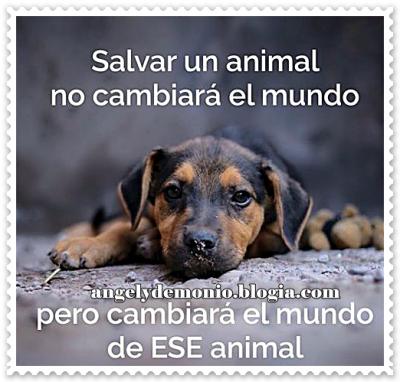 Salvar un animal