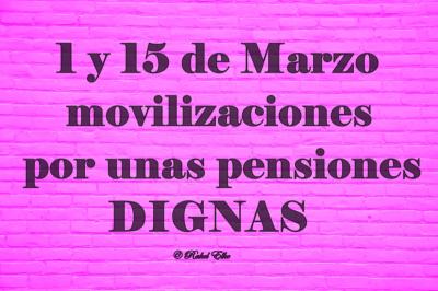 Las movilizaciones de los pensionistas continuarán; las próximas fechas son el 1 y el 15 de marzo.